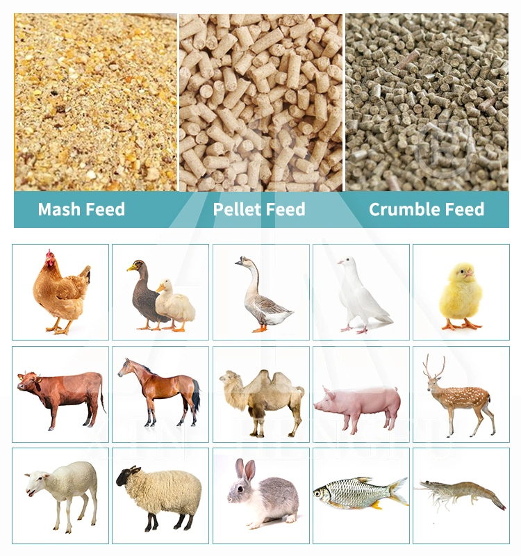 Less Consumption Poultry Powder Feed Production Line Animal Feed Powder Making Plant