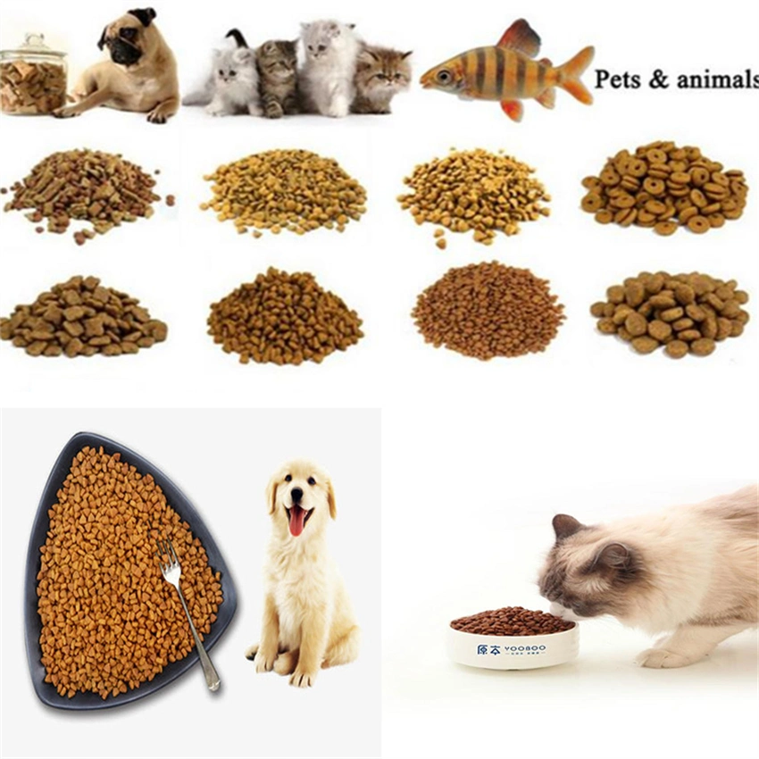 Small Animal Pet Food Making Extruder Floating Fish Feed Pellet Machine