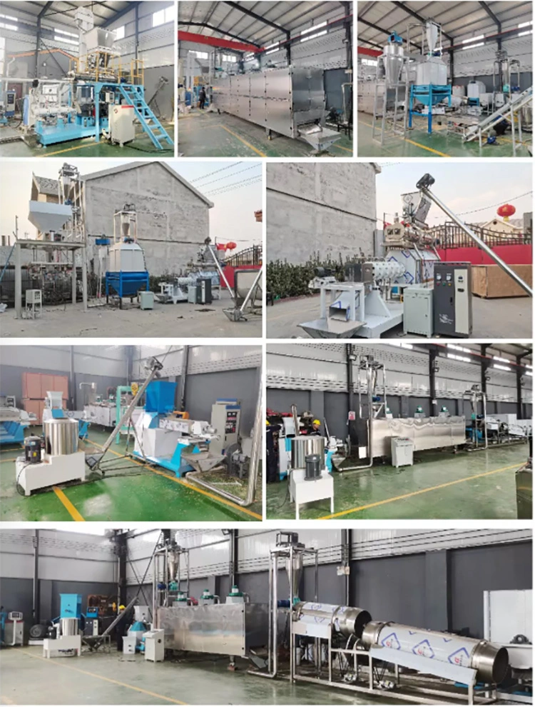 Dry Animal Pellet Food Equipment Pet Cat Dog Food Machine Floating Fish Feed Twin Screw Extruder Machinery Plant Pet Dog Cat Food Animal Feed Pellet Processing