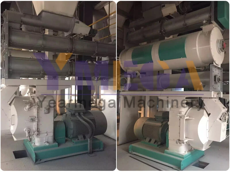 Automatic Animal Feed Production Machine Line Poultry Chicken Pig Cattle Livestock Feed Plant